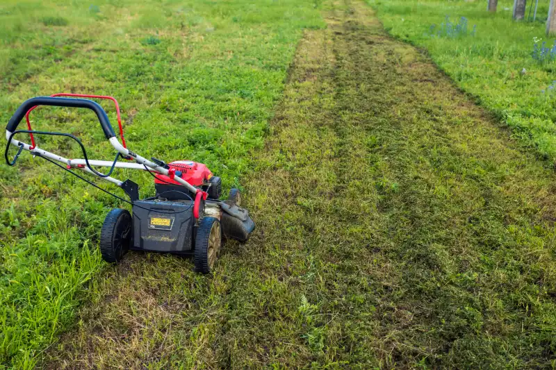 Can you mow wet grass in Allen TX 