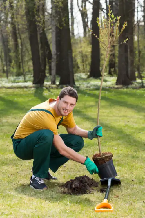 Front & Backyard Landscaping 