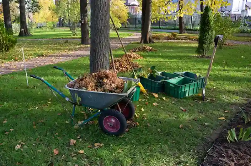 How To Clean A Backyard in Allen TX