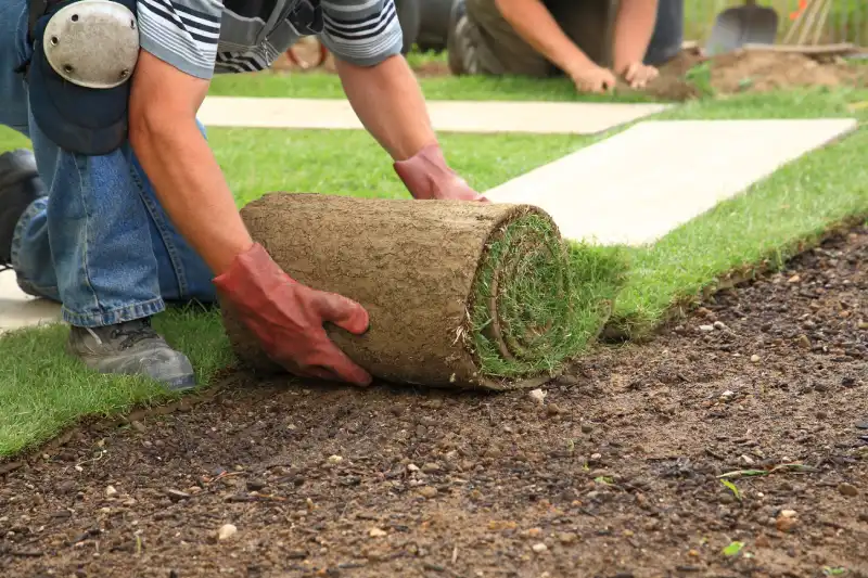 How long after installing sod can you walk on it in Allen TX 