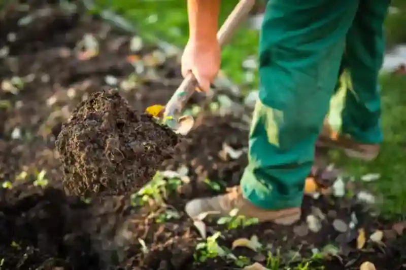 How long does mulch last in Allen TX 