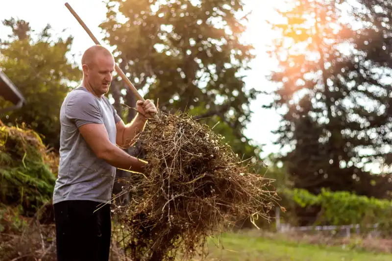 How to clear a yard full of weeds in Allen TX