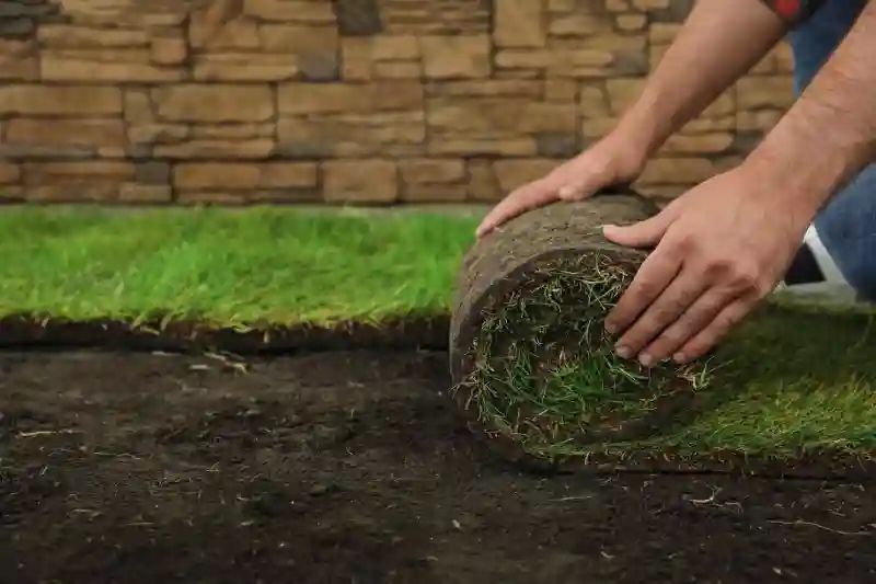 How to lay sod over existing lawn in Allen TX 