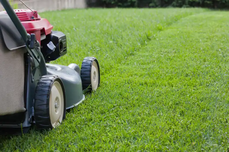 How to mow a lawn in Allen TX