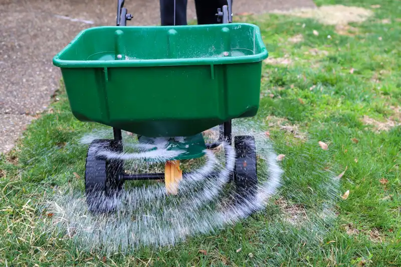 Reliable Lawn Lawn Fertilization in Allen TX 