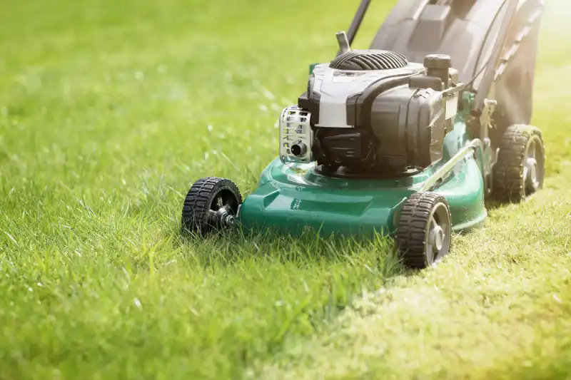 Professional Lawn Mowing Service in Allen TX 