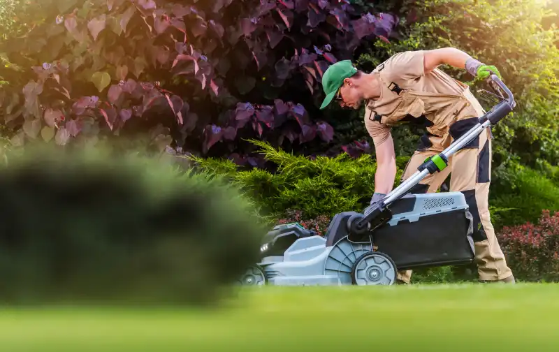 Reliable Lawn Mowing Service in Allen TX 