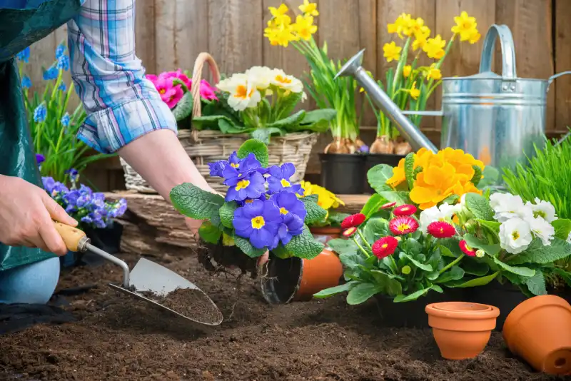 Outstanding Mulching Service in Allen TX 