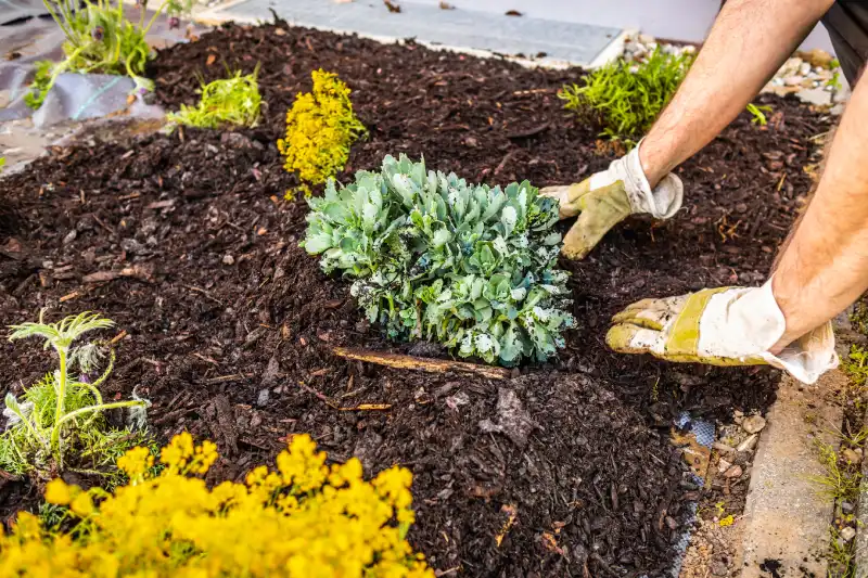 Professional Mulching Service in Allen TX 