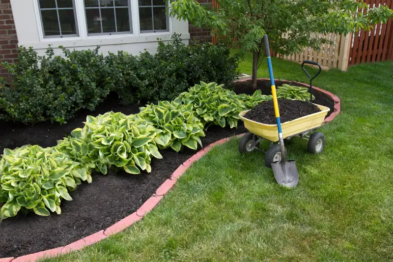 Reliable Mulching Service in Allen TX 