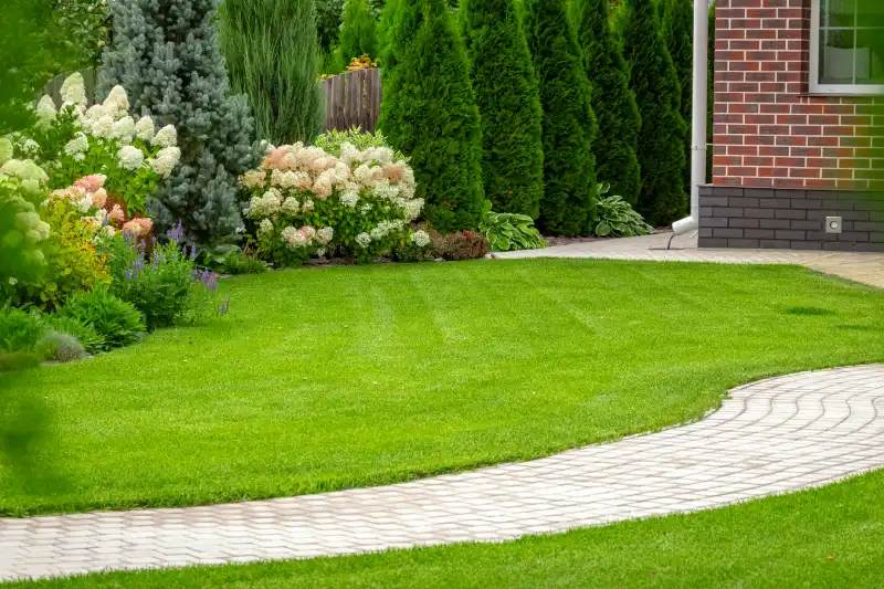 Professional Sod Installation in Allen, TX 