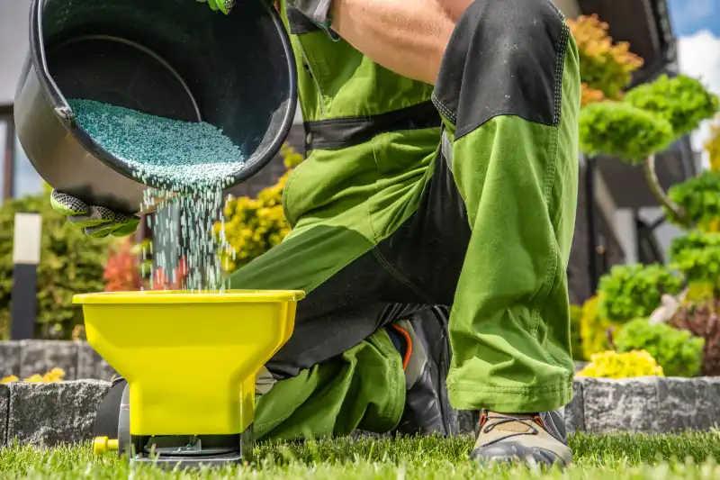 When is the best time to fertilize your lawn in Allen TX