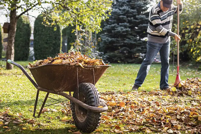 Outstanding Yard cleanup Service in Allen TX 